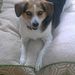 Profile Picture of Scott Flicker (@scottflicker) on Pinterest
