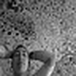 Profile Picture of Cuerpospin (@claudia bernet valle) on Flickr