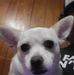 Profile Picture of Lee Ronnie Hopper (@Lee-Ronnie-Hopper) on Facebook