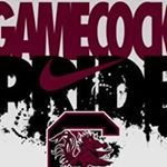 Profile Picture of Stephen Lomax (@lomax_stephen) on Instagram