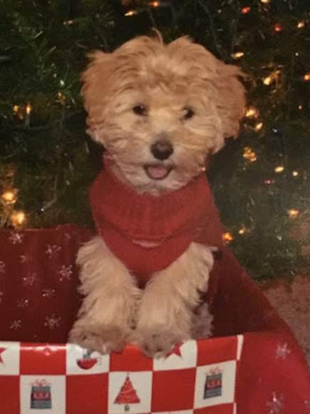 Profile Picture of Gracie Plunkert (@gracieplunkert) on Poshmark