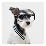 Profile Picture of josh glubrecht (@joshglubrecht) on Instagram