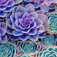 Profile Picture of Kim Carver (@kim-carver-17) on Quora