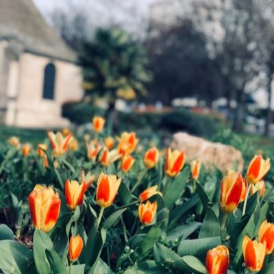 Profile Picture of Sharmin Hossain (@Sharmin61875420) on Twitter