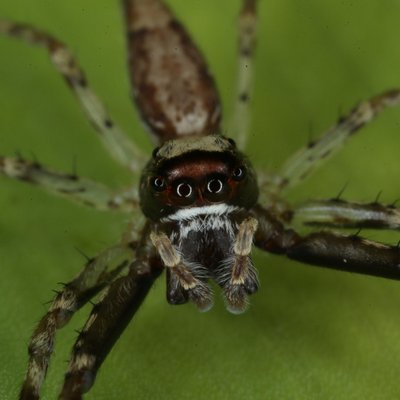 Profile Picture of John Grainger (@johngrainger11) on Twitter