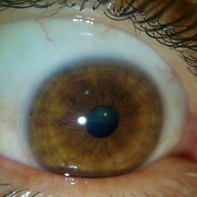 Profile Picture of Antonio Cappa (@ANTONIOPCL) on Twitter
