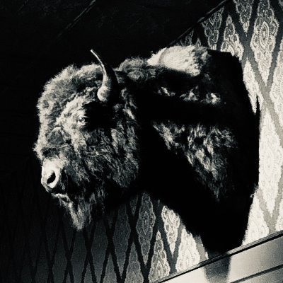 Profile Picture of Mark Vassar (@Marked_5) on Twitter