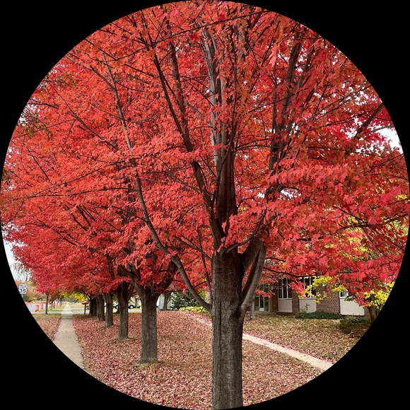 Profile Picture of Joanne Nelson (@allaboutmeme) on Poshmark