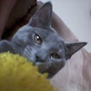 Profile Picture of Claudia Quick (@@claudiaquick) on Tiktok