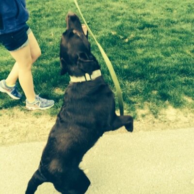 Profile Picture of Michael Blasi (@BlasiMblasi1) on Twitter