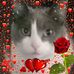 Profile Picture of Rachel Keltner (Rachel Mosley) (@rachel.keltner.52) on Facebook