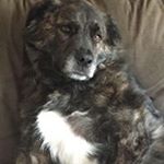 Profile Picture of Shawn Turney (@turneyshawn) on Instagram