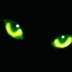 Profile Picture of Lorenzo Ceniceros (@lorenzo.ceniceros.52144) on Facebook