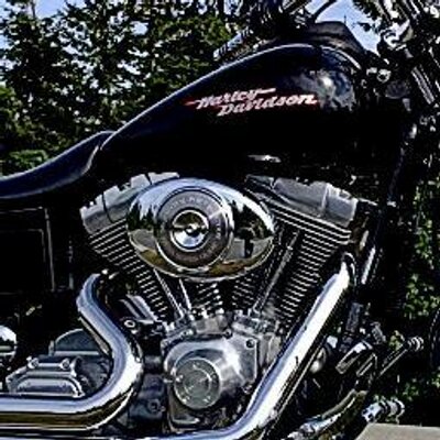 Profile Picture of K Daigle (@cdnrockhound) on Twitter