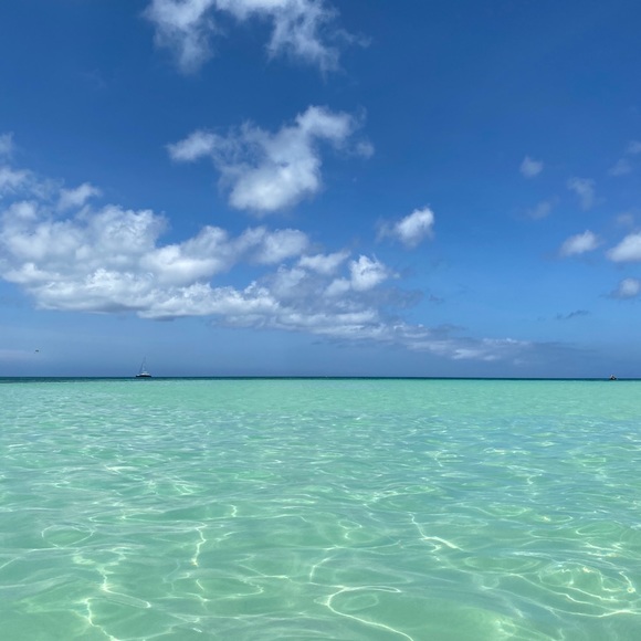 Profile Picture of Josh Pajak (@paycheck11) on Poshmark