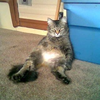 Profile Picture of Sherry Capps (@sherry.capps.52) on Facebook