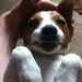 Profile Picture of Anthony Paynter (@anthonypaynter) on Pinterest
