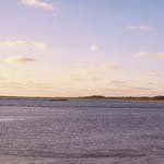 Profile Picture of Tony_Craven (@tony_cravenf) on Instagram