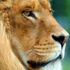 Profile Picture of Mark Gaudioso (@MarkGaudioso) on Twitter