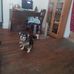 Profile Picture of Mark Drumheller (@mark.drumheller.520) on Facebook