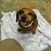 Profile Picture of Bryan Tibbetts (@bryan8248) on Pinterest