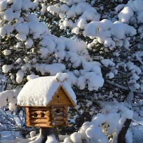 Profile Picture of Acerra George (@acerrageorge) on Pinterest