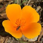 Profile Picture of Matthew Westhoff (@mizzahoff_photography) on Instagram