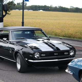 Profile Picture of matthew polizzi (@polizzimatthew) on Instagram