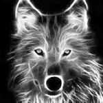 Profile Picture of joevansantossilva (@joevansantossilva) on Instagram