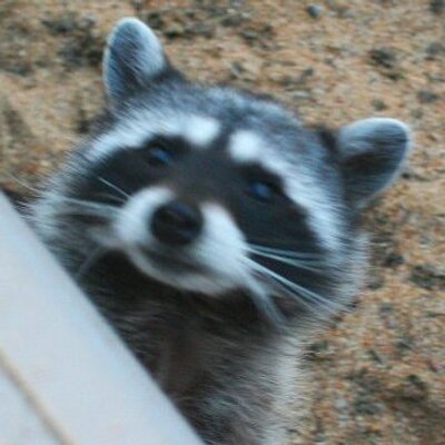 Profile Picture of Scott Schrantz (@scottschrantz) on Twitter