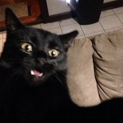 Profile Picture of Allen Colter (@@ColterAllen) on Twitter