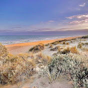 Profile Picture of Daniel Gatt (@dansdamanfishing1975) on Youtube