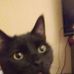 Profile Picture of Joseph Gorham (@joseph.gorham.77) on Facebook