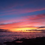 Profile Picture of Tanner Wilcox (@t_doogggg) on Instagram