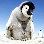 Profile Picture of daniel huss (@_danielhuss) on Instagram