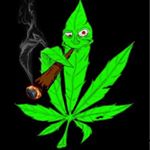 Profile Picture of Steven Conover (@vaping_and_cannabis) on Instagram