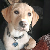 Profile Picture of Tony Lujan (@tonylujan5206) on Youtube