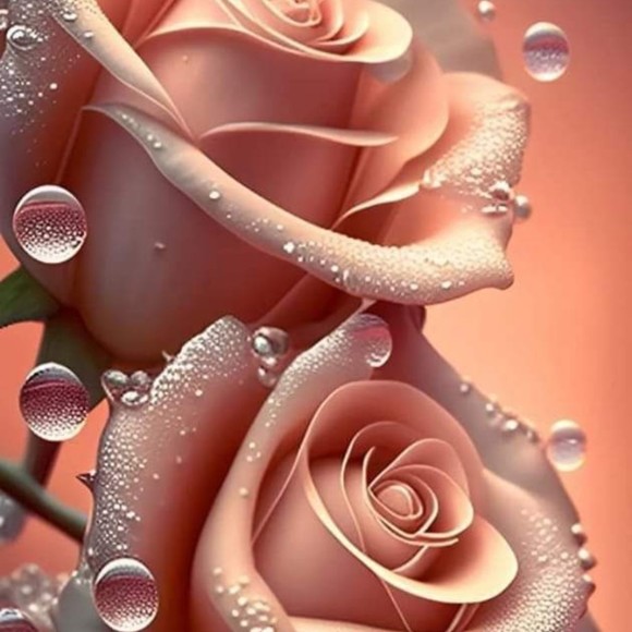 Profile Picture of Brianna Rupp (@briannarupp706) on Poshmark