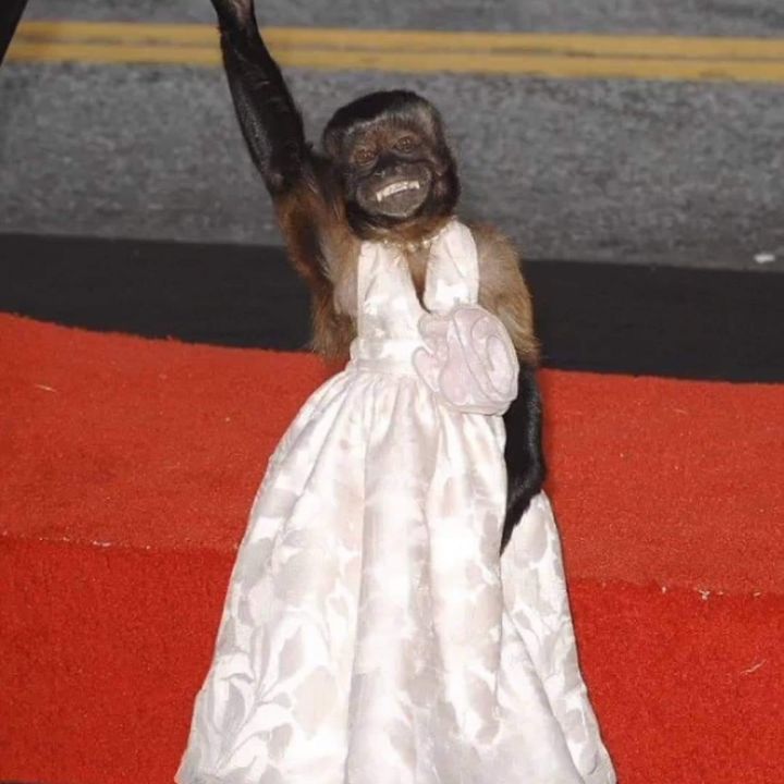 Profile Picture of Harold Jackman (@haroldjackman7239) on Tiktok