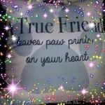 Profile Picture of Tamara (Tammy Dailey) Neal (@beingbetter_atbeingme) on Instagram