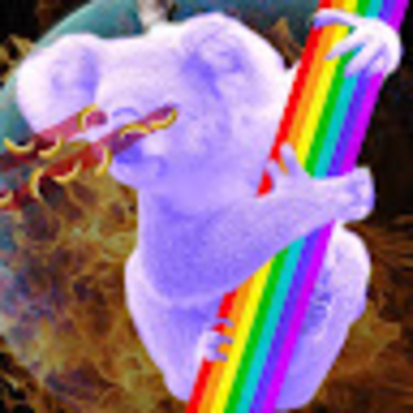 Profile Picture of Matt Paddon (@519koala) on Poshmark