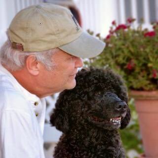 Profile Picture of David Rotenberg (@davidcraigjewel) on Twitter