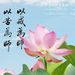 Profile Picture of 峻誠 褚 (@stephenliny) on Pinterest