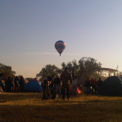 Profile Picture of Alex Pacheco Oberlin (@alex_pachis) on Twitter