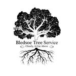 Profile Picture of David Bledsoe (@bledsoe_tree_service) on Instagram