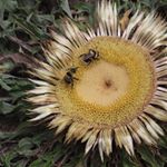 Profile Picture of Claude Darrason (@cdarrason) on Instagram