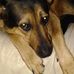 Profile Picture of Scott Helgeson (@scott.helgeson.96) on Facebook