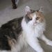 Profile Picture of Norma Webb (@njwebb1935) on Pinterest