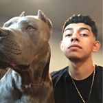 Profile Picture of Ray Sotelo (@_rayhitz96) on Instagram