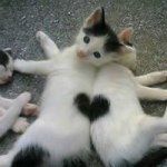 Profile Picture of Diane Frazier Clark (@dianec61) on Instagram